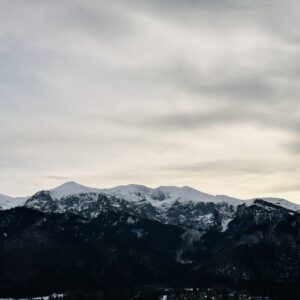 IMG_7448